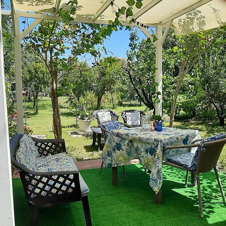 Tom E Jerry Bed & Breakfast Domus De Maria Exterior photo