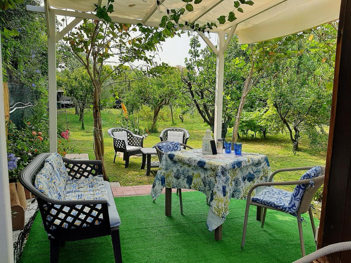 Tom E Jerry Bed & Breakfast Domus De Maria Exterior photo